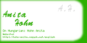 anita hohn business card